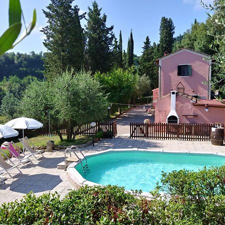 Podere Il Leccione Palaia Luaran gambar