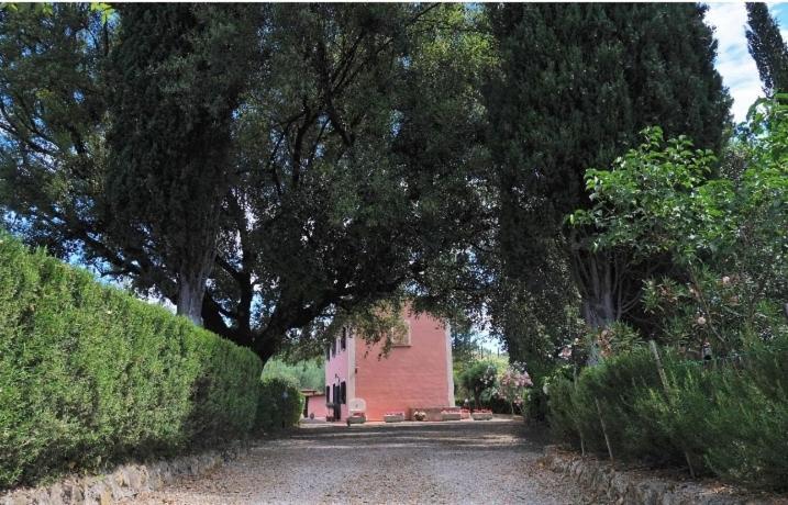 Podere Il Leccione Palaia Luaran gambar