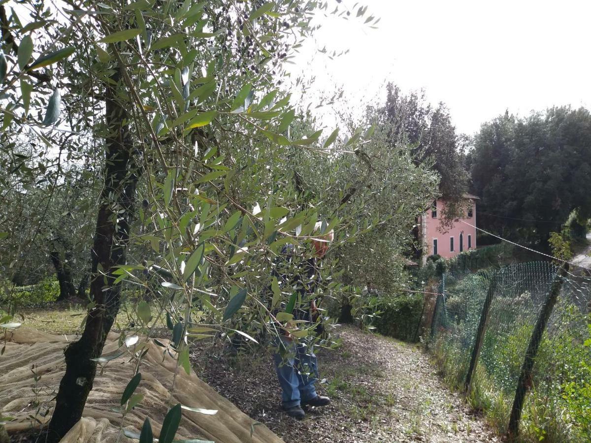 Podere Il Leccione Palaia Luaran gambar